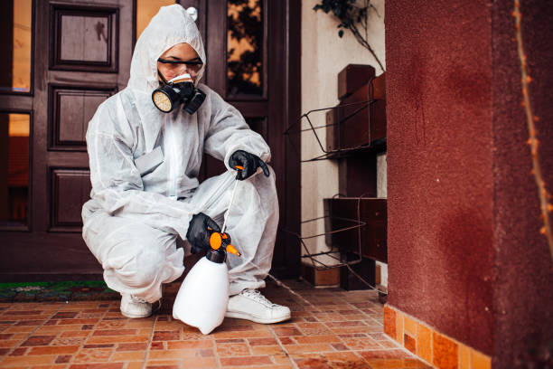 Attic and Crawl Space Rodent Treatment in Seaside